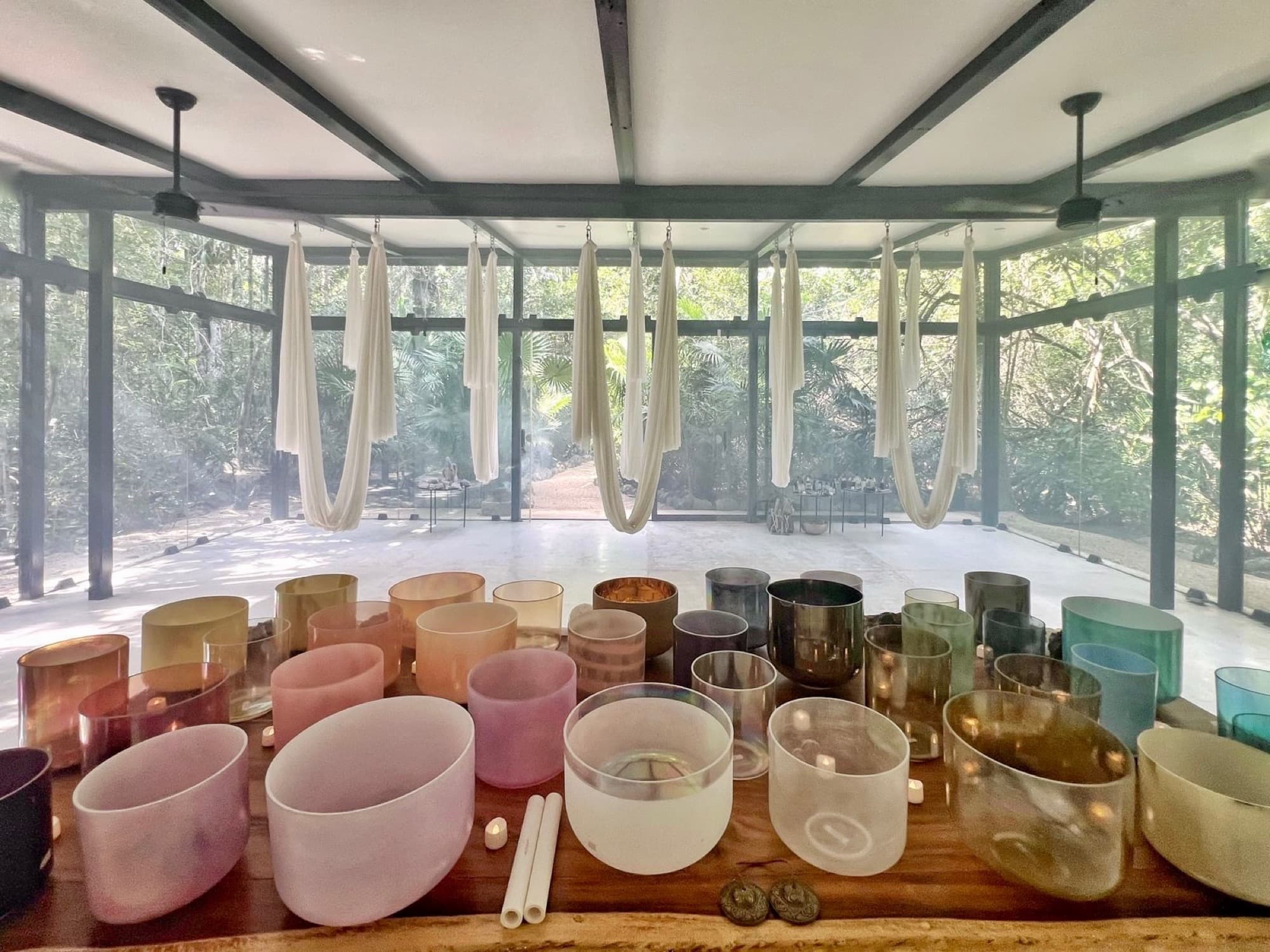 The full row of crystal bowls before the glass wall, silks and jungle beyond