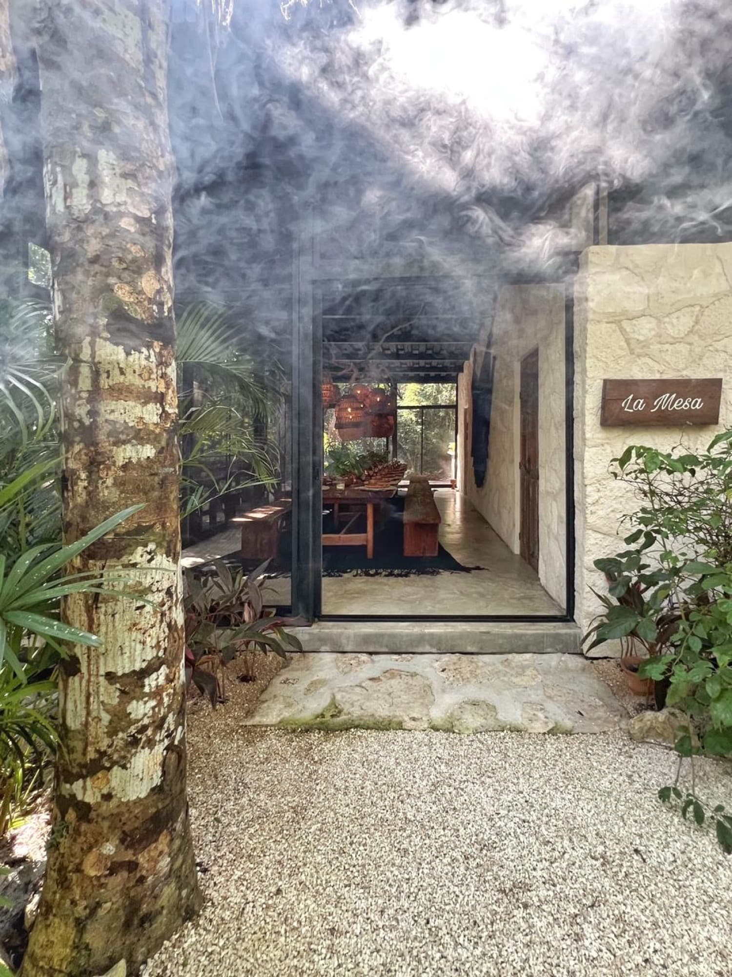 The entrance to La Mesa through the palms, copal smoke drifting across the path