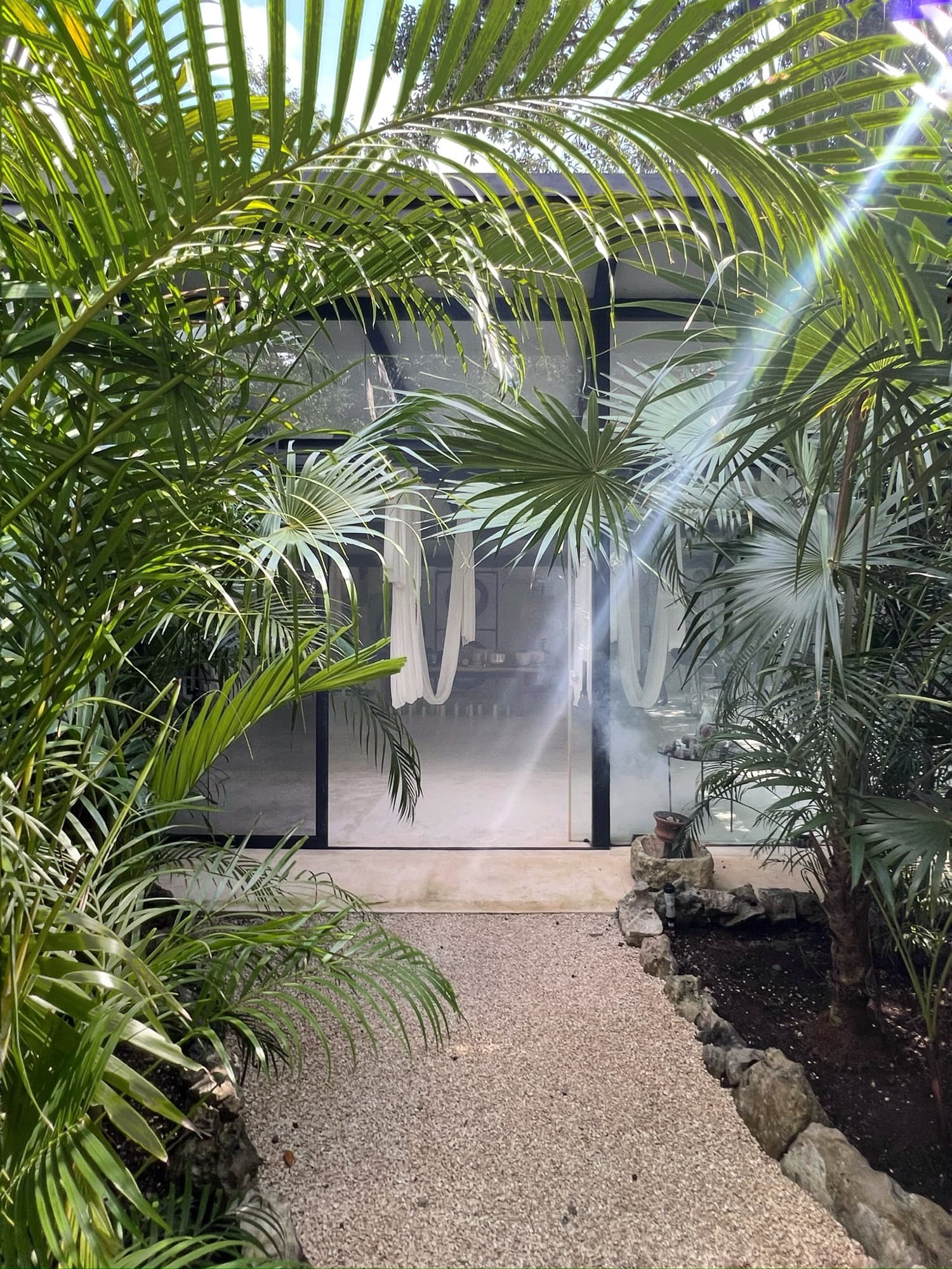 The temple entrance through the palms, sunlight flaring across the path