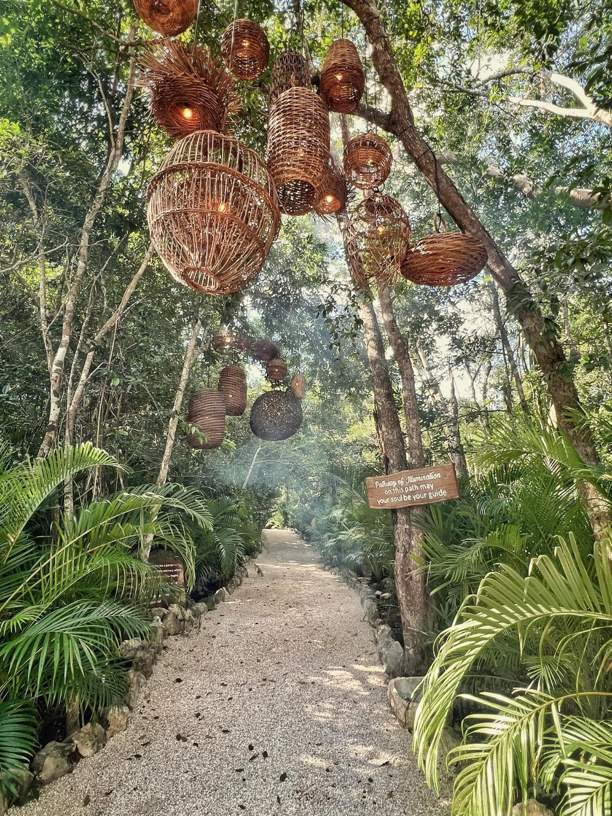 The Pathway of Illumination: woven lanterns hung from the branches over the gravel path, palms on both sides
