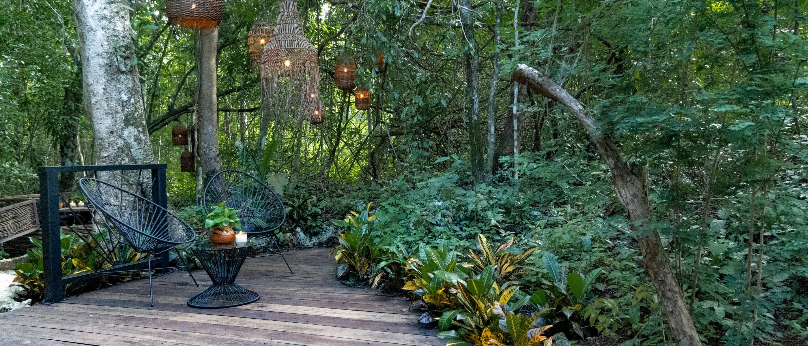 The lounge deck open to the jungle, lanterns hanging from the branches above it