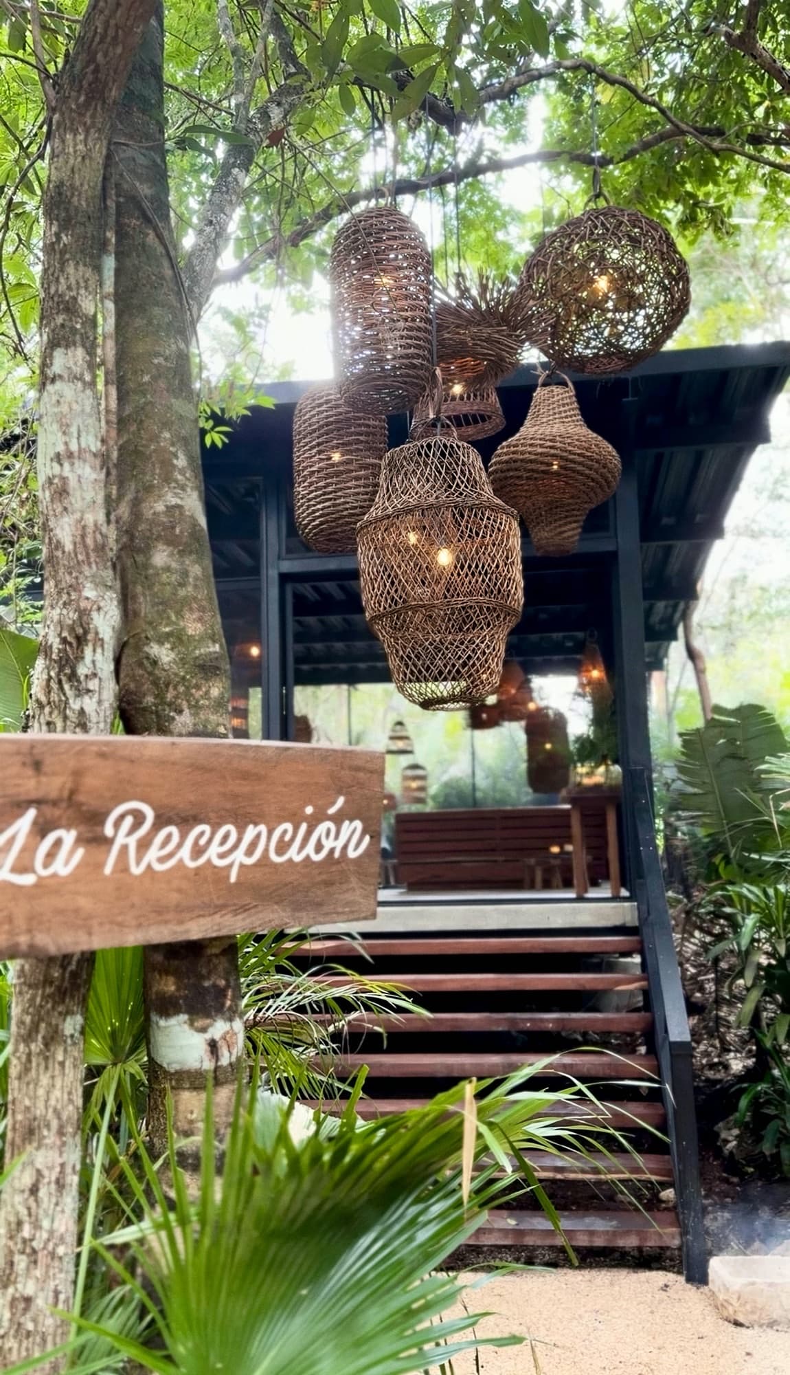 The hand-painted La Recepción sign at the foot of the wooden steps, woven lanterns hanging from the jungle canopy above