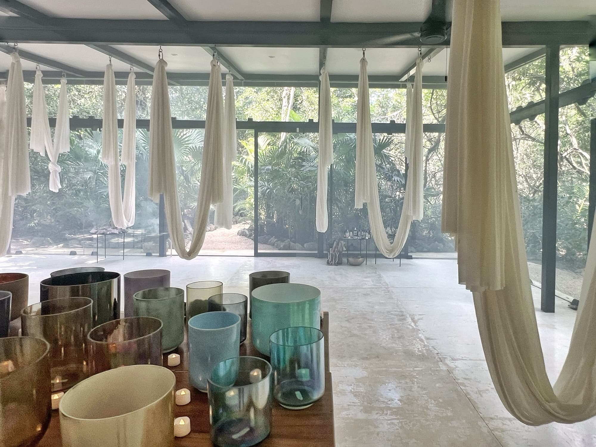 Hammock silks swaying above the white floor, the jungle wrapping the glass